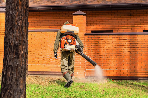 Bed Bug Clearance Verification and Documentation in Woodlands